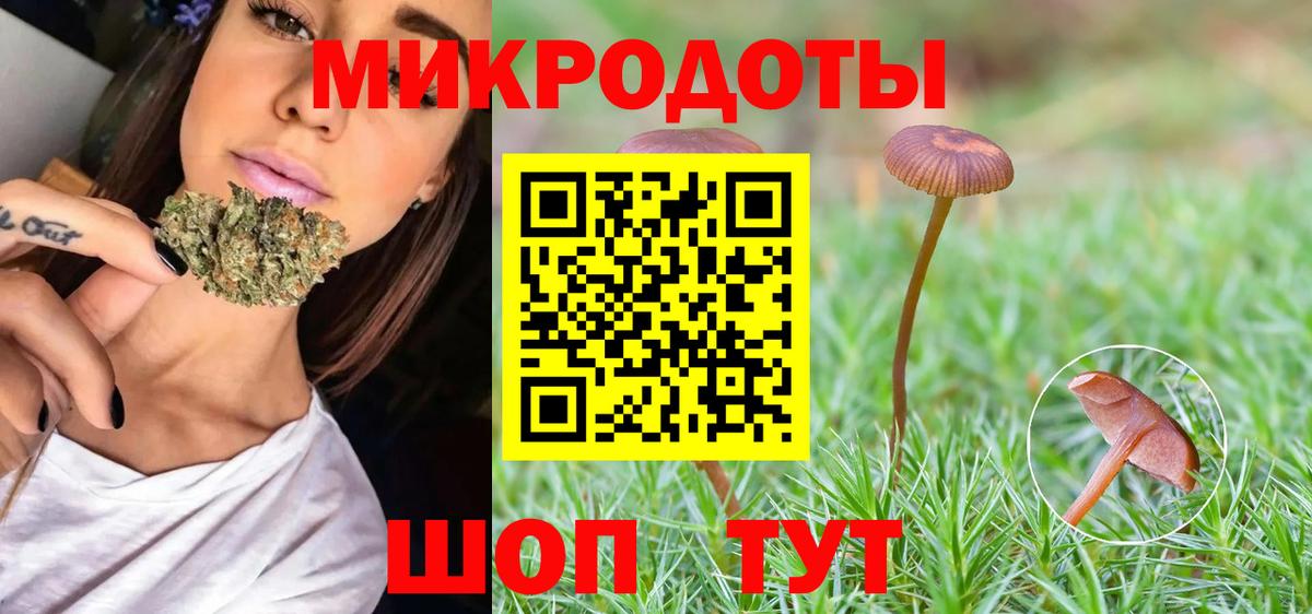 Асино  Псилоцибиновые грибы Cubensis  Вход с VPN 